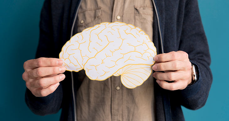 Aumentar los niveles de magnesio podría servir de apoyo para la función cognitiva